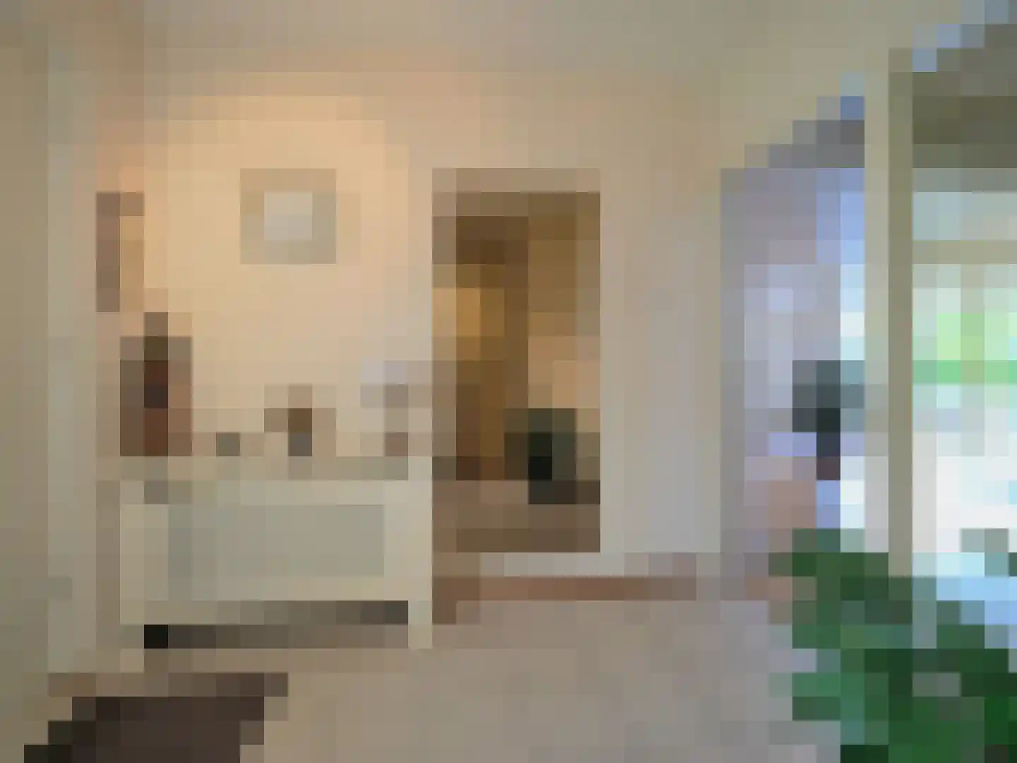 Paltrokmolen 25 Papendrecht thumbnail 8
