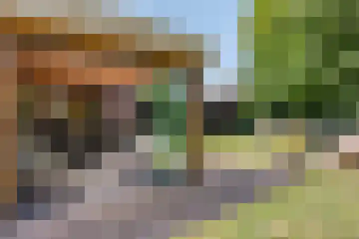 Paltrokmolen 27 Alkmaar thumbnail 21