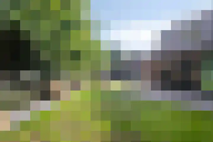 Paltrokmolen 27 Alkmaar thumbnail 22