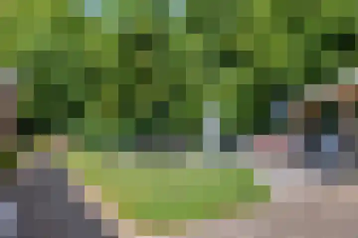 Paltrokmolen 27 Alkmaar thumbnail 24