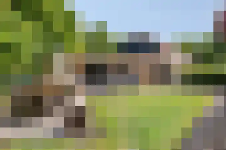 Paltrokmolen 27 Alkmaar thumbnail 25