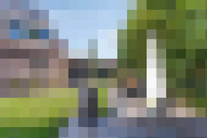Paltrokmolen 27 Alkmaar thumbnail 26