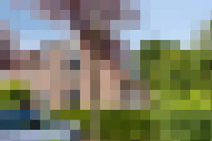 Paltrokmolen 27 Alkmaar thumbnail 35