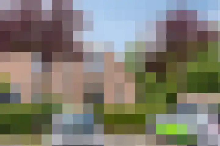 Paltrokmolen 27 Alkmaar thumbnail 36