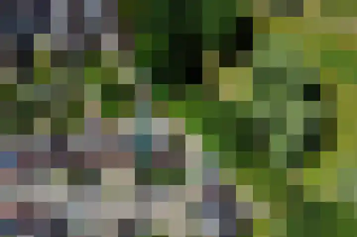 Paltrokmolen 27 Alkmaar thumbnail 37