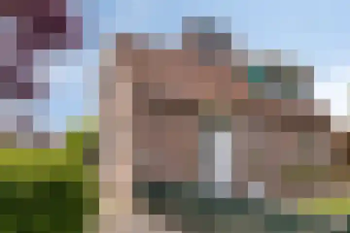 Paltrokmolen 27 Alkmaar thumbnail 47