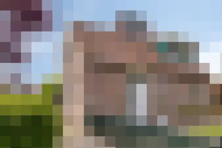 Paltrokmolen 27 Alkmaar thumbnail 6