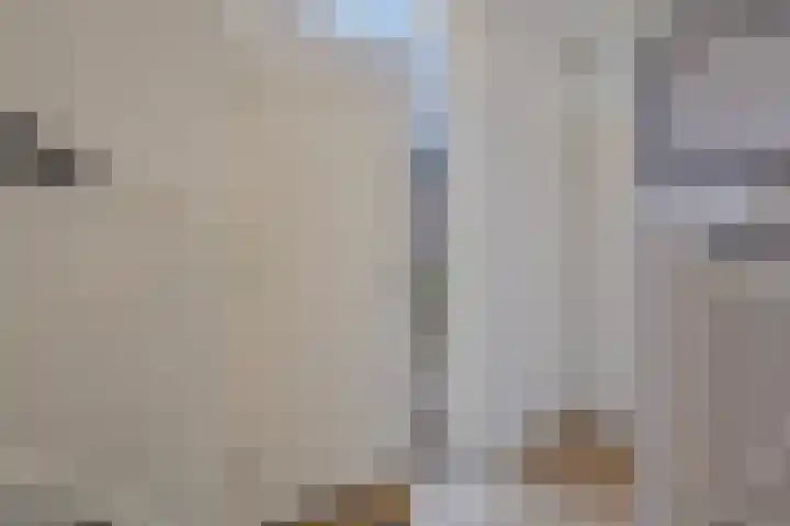 Paltrokmolen 27 Alkmaar thumbnail 7