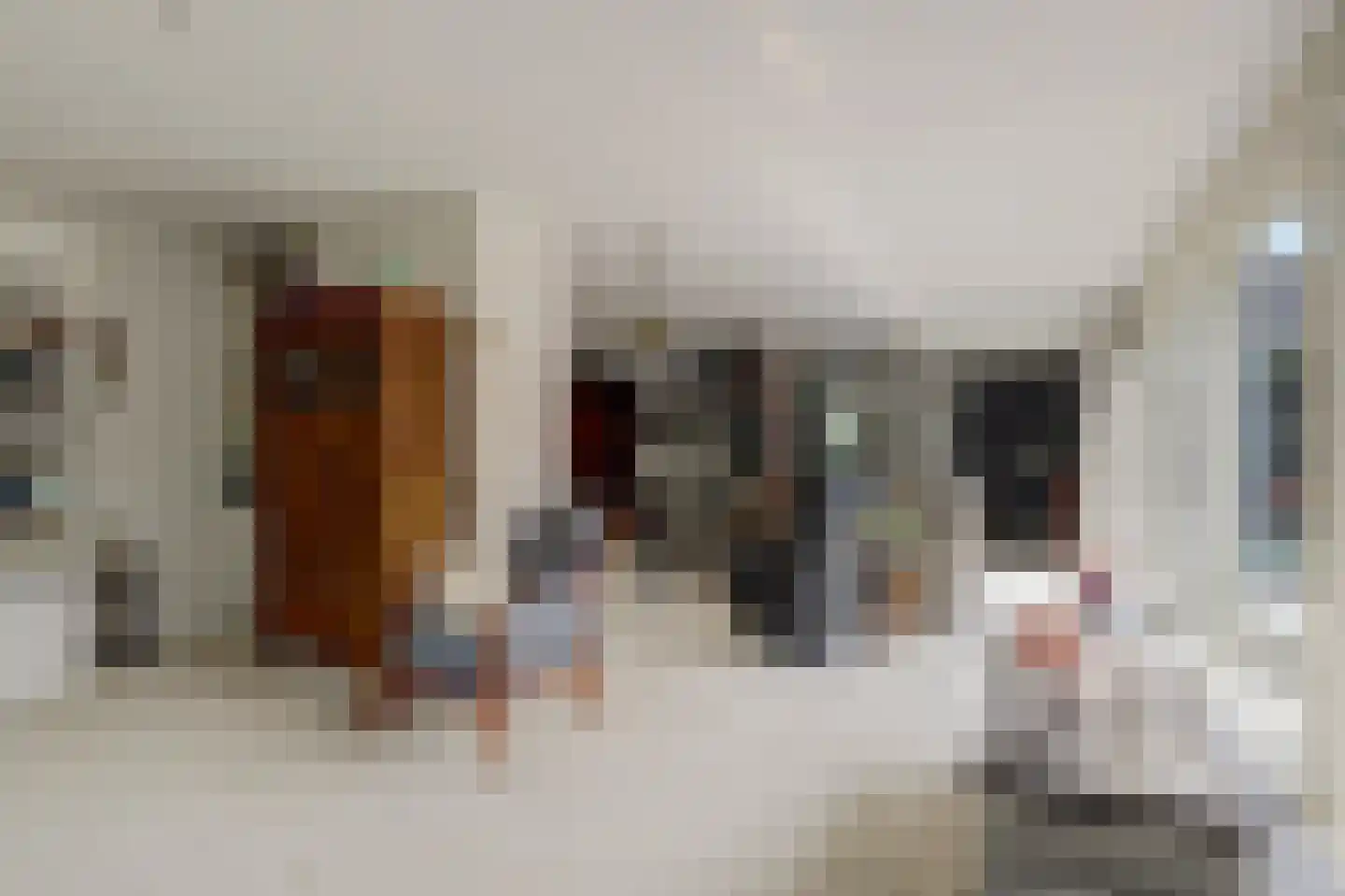 Paltrokmolen 27 Papendrecht thumbnail 12