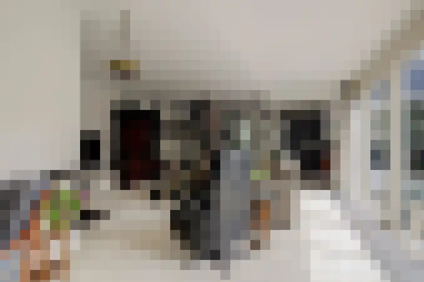 Paltrokmolen 27 Papendrecht thumbnail 13