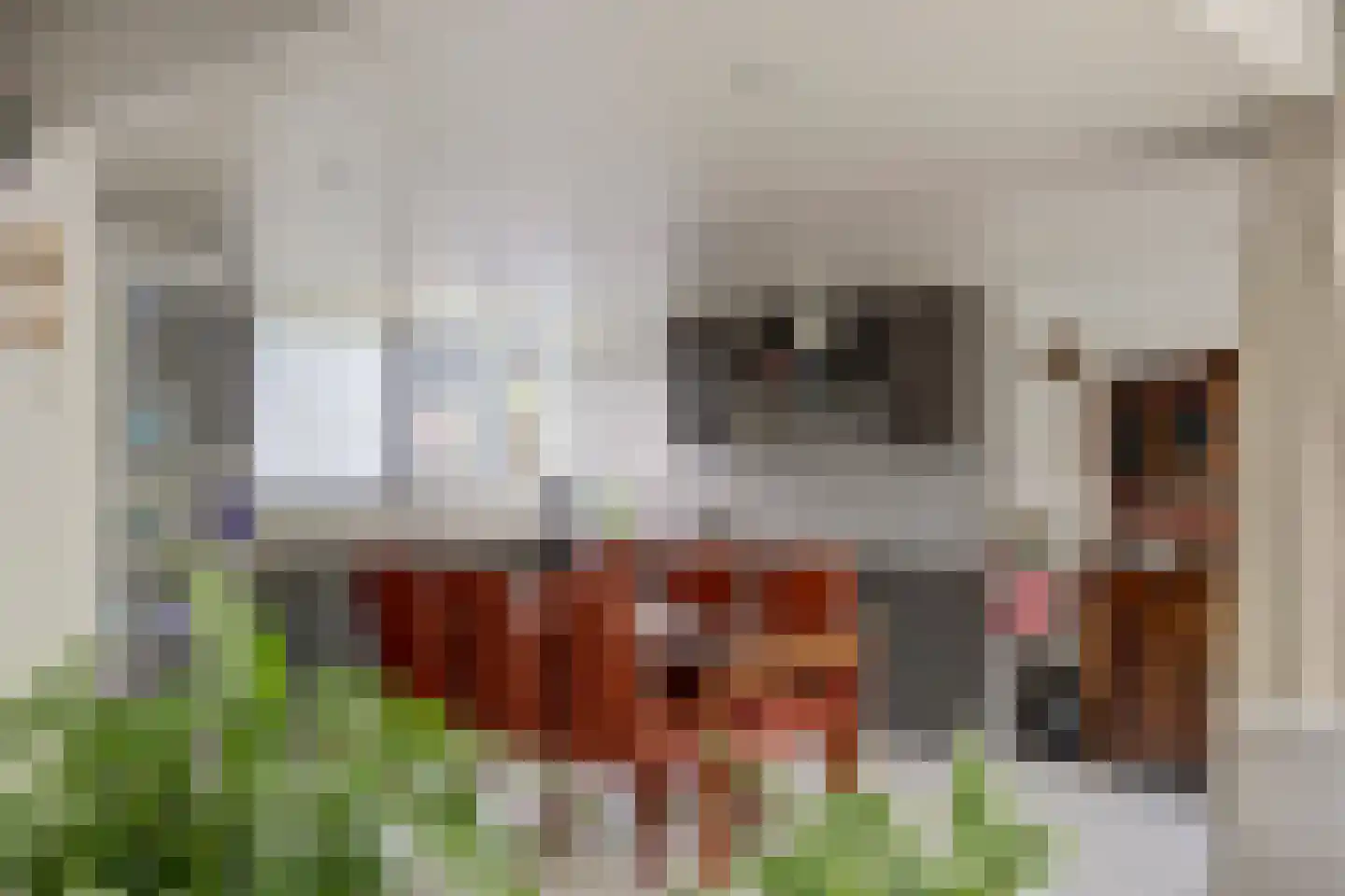 Paltrokmolen 27 Papendrecht thumbnail 15