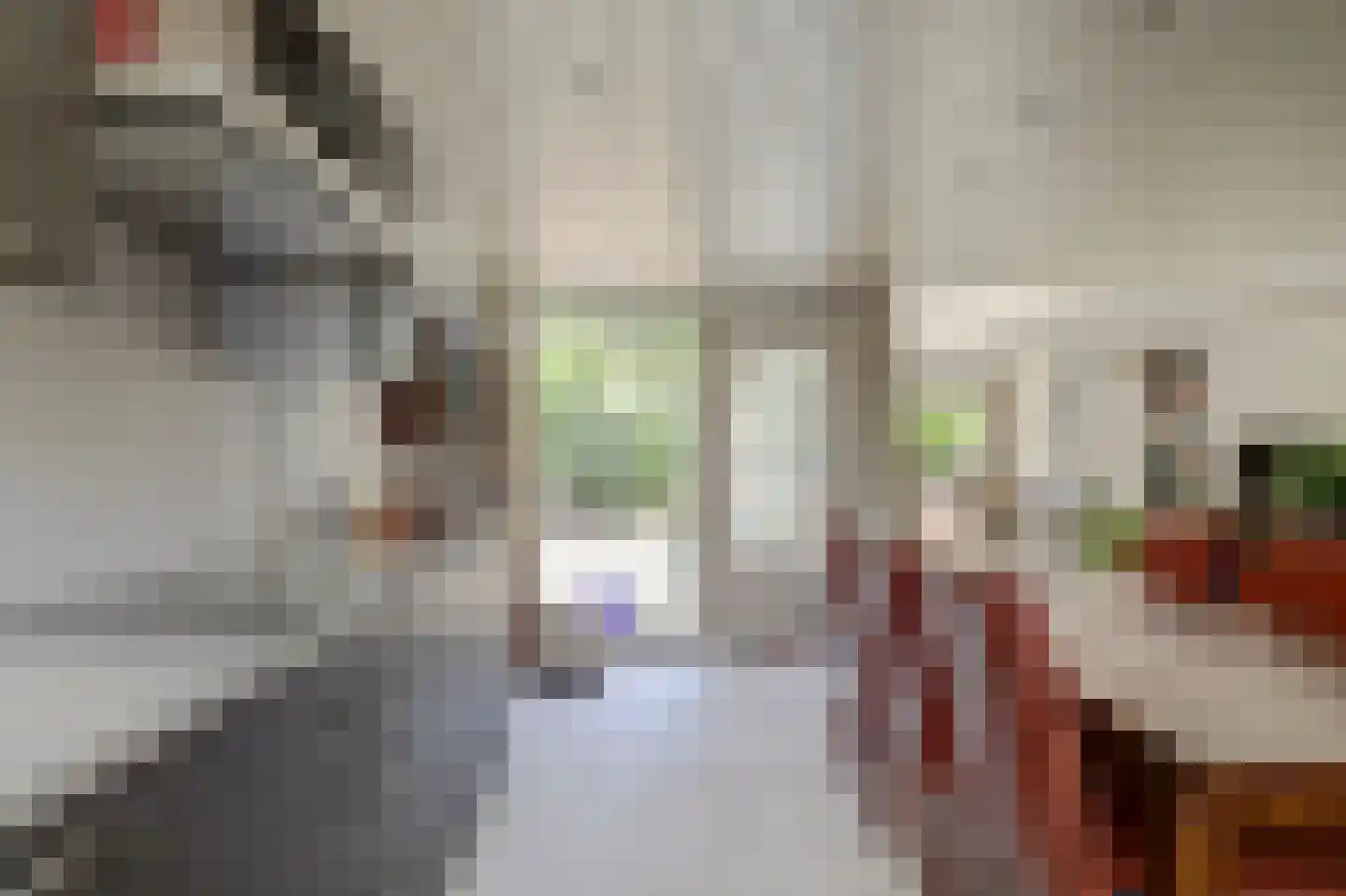 Paltrokmolen 27 Papendrecht thumbnail 21