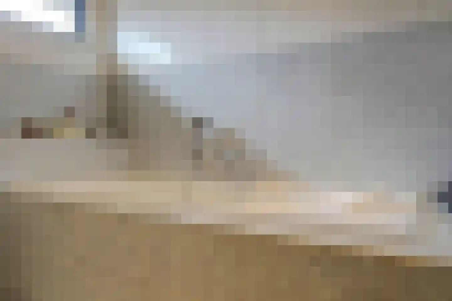 Paltrokmolen 27 Papendrecht thumbnail 36