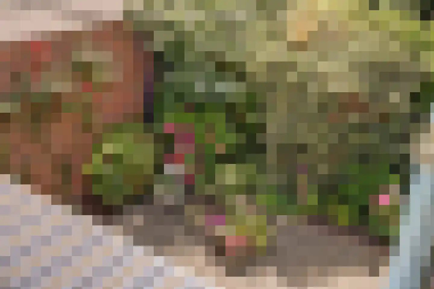 Paltrokmolen 27 Papendrecht thumbnail 38