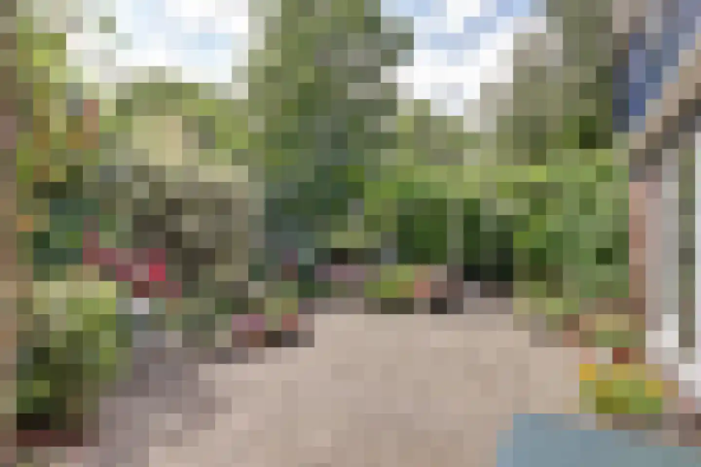 Paltrokmolen 27 Papendrecht thumbnail 39