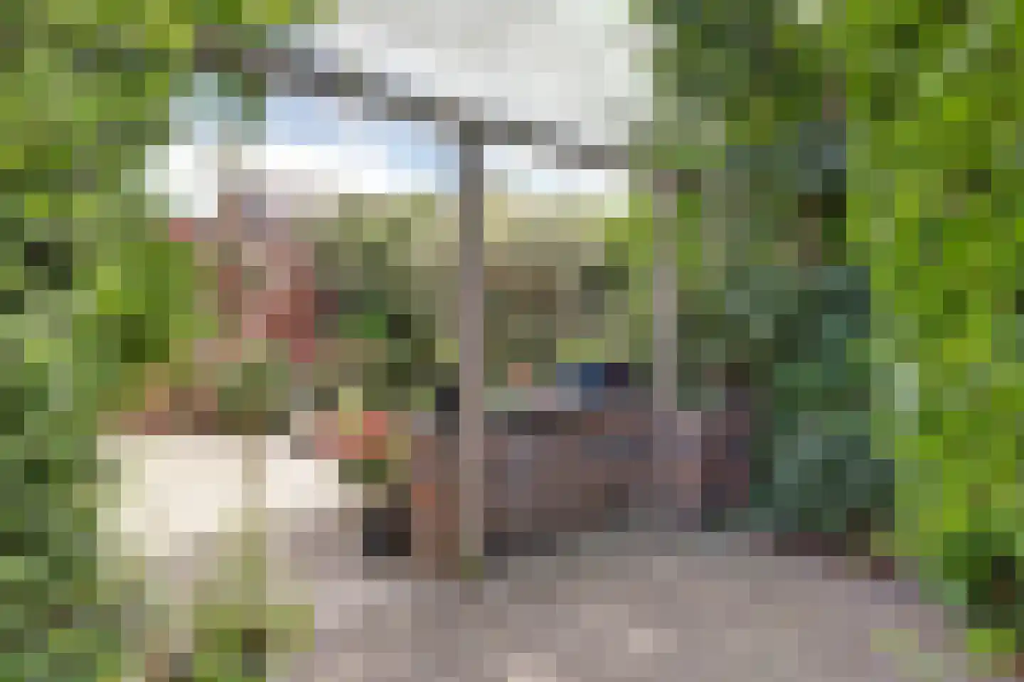 Paltrokmolen 27 Papendrecht thumbnail 41