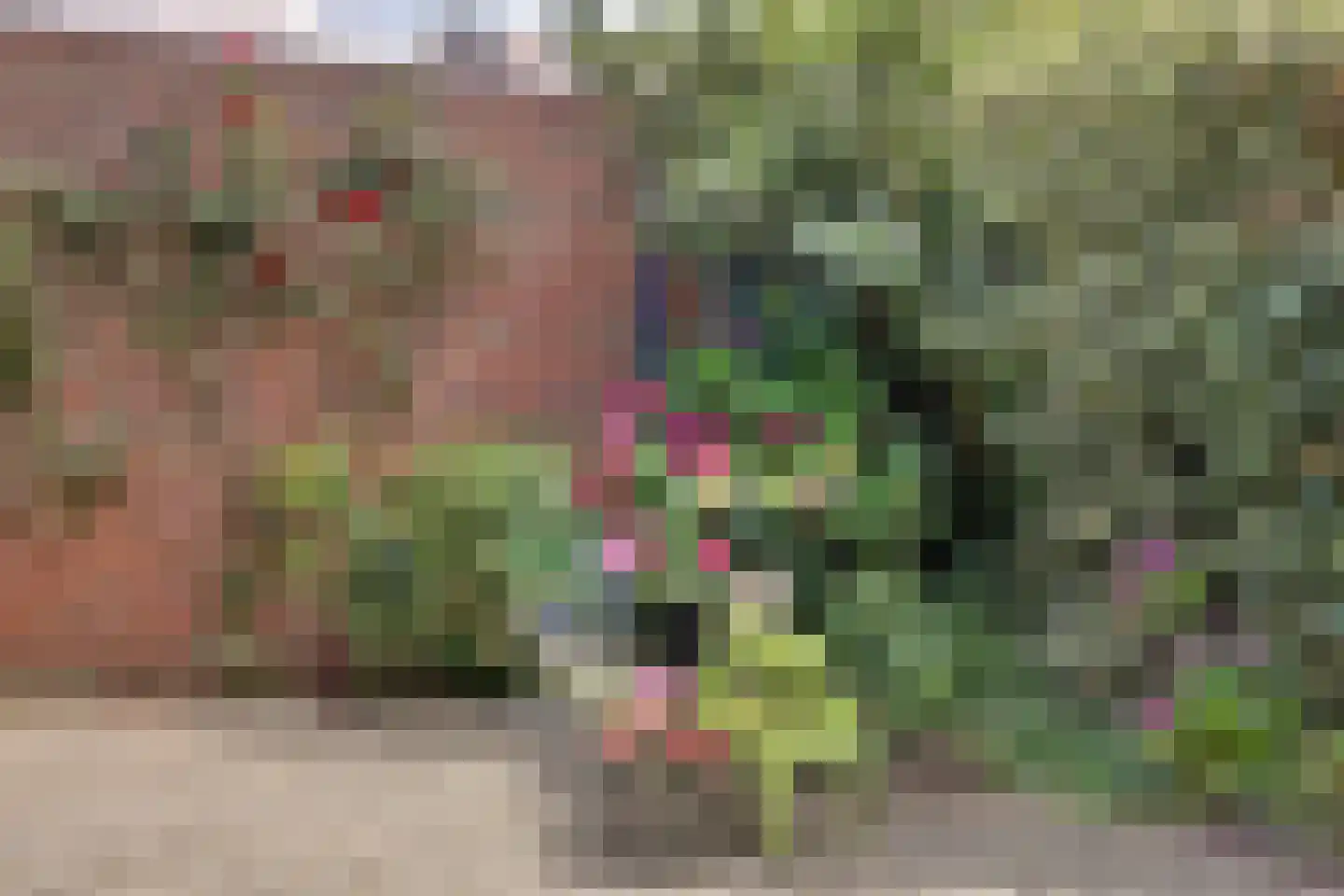 Paltrokmolen 27 Papendrecht thumbnail 43