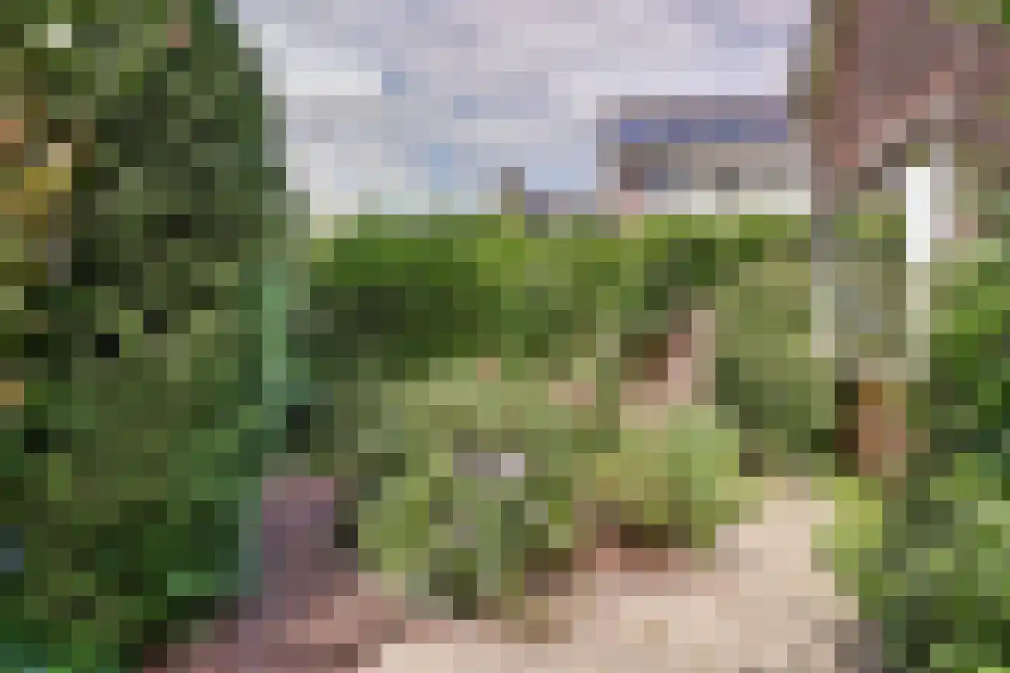 Paltrokmolen 27 Papendrecht thumbnail 44