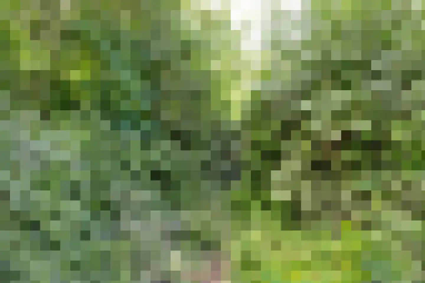 Paltrokmolen 27 Papendrecht thumbnail 45