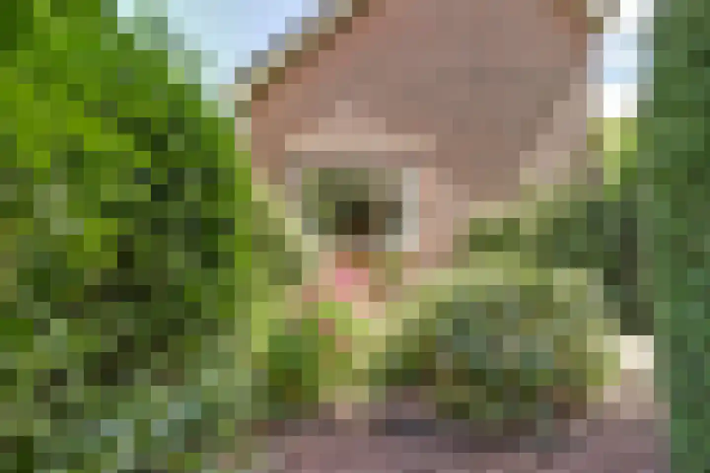 Paltrokmolen 27 Papendrecht thumbnail 46