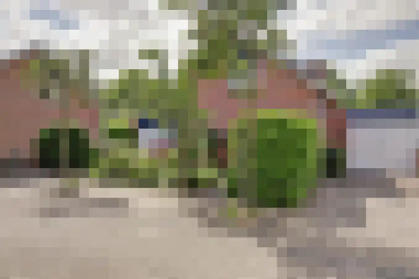 Paltrokmolen 27 Papendrecht thumbnail 49