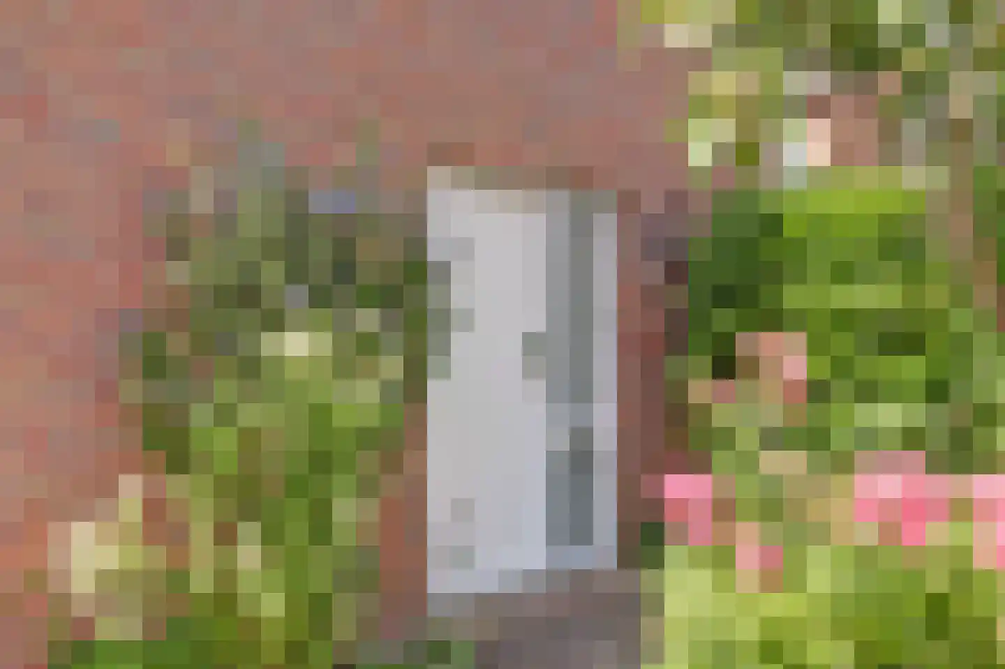 Paltrokmolen 27 Papendrecht thumbnail 5