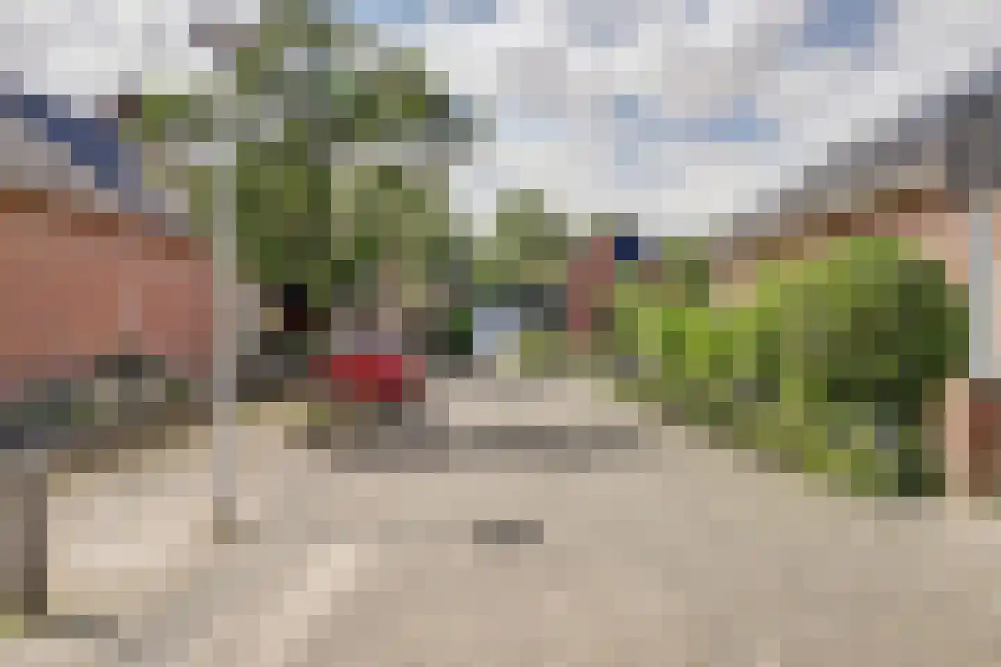 Paltrokmolen 27 Papendrecht thumbnail 53