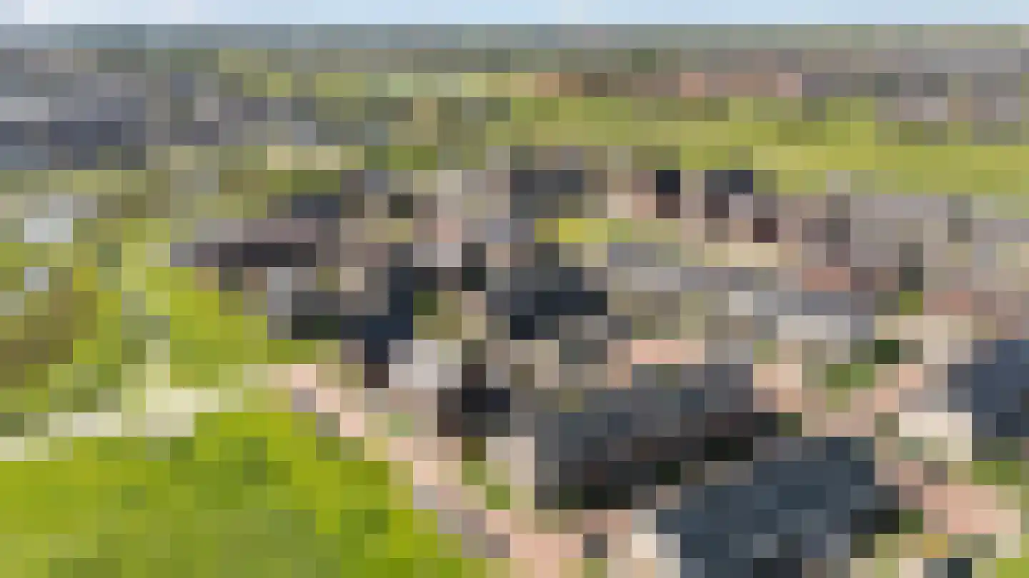 Paltrokmolen 27 Zwolle thumbnail 31