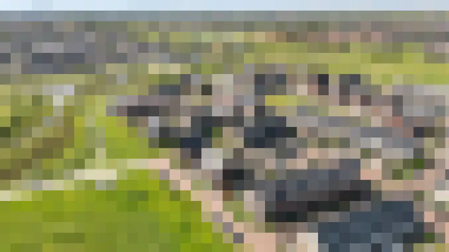 Paltrokmolen 27 Zwolle thumbnail 32