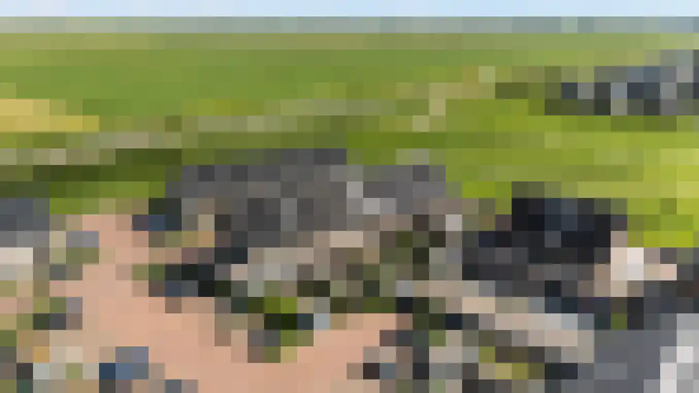 Paltrokmolen 27 Zwolle thumbnail 33