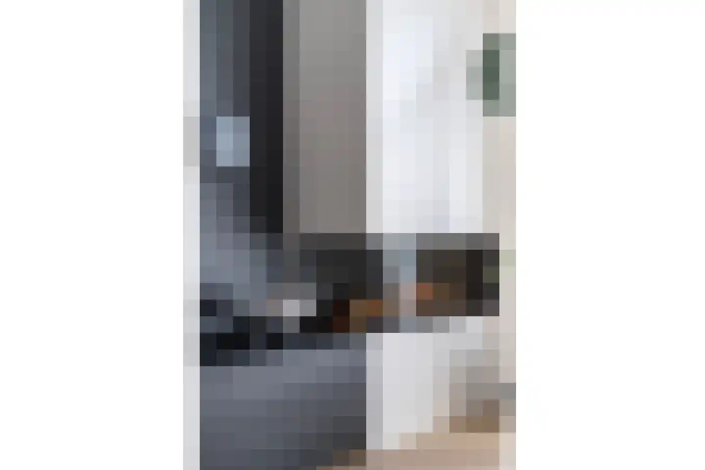 Paltrokmolen 27 Zwolle thumbnail 5