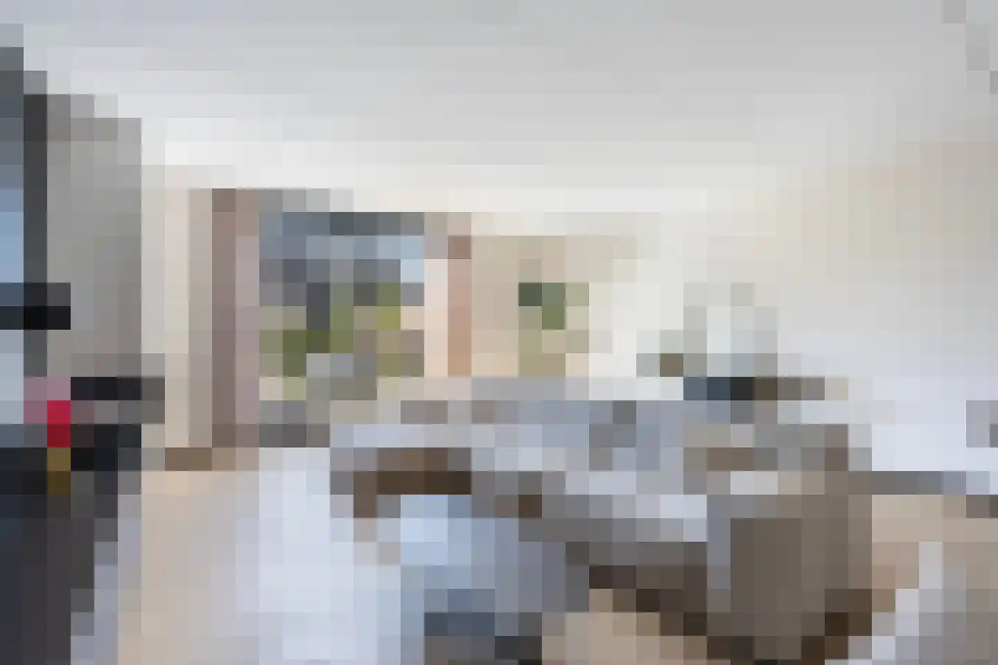 Paltrokmolen 27 Zwolle thumbnail 7