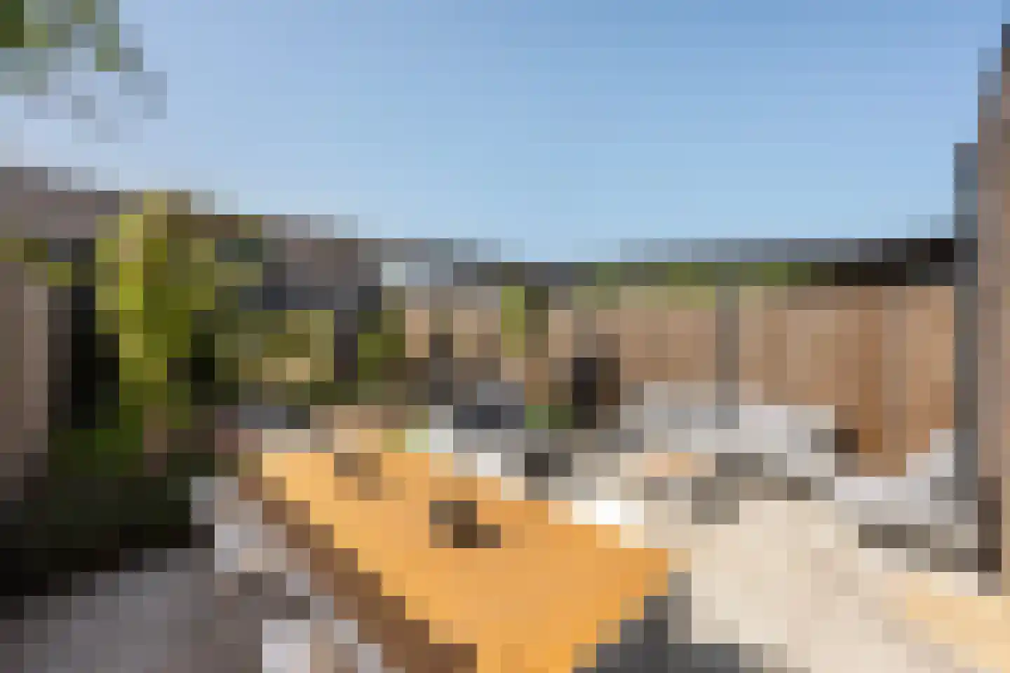 Paltrokmolen 27 Zwolle thumbnail 8