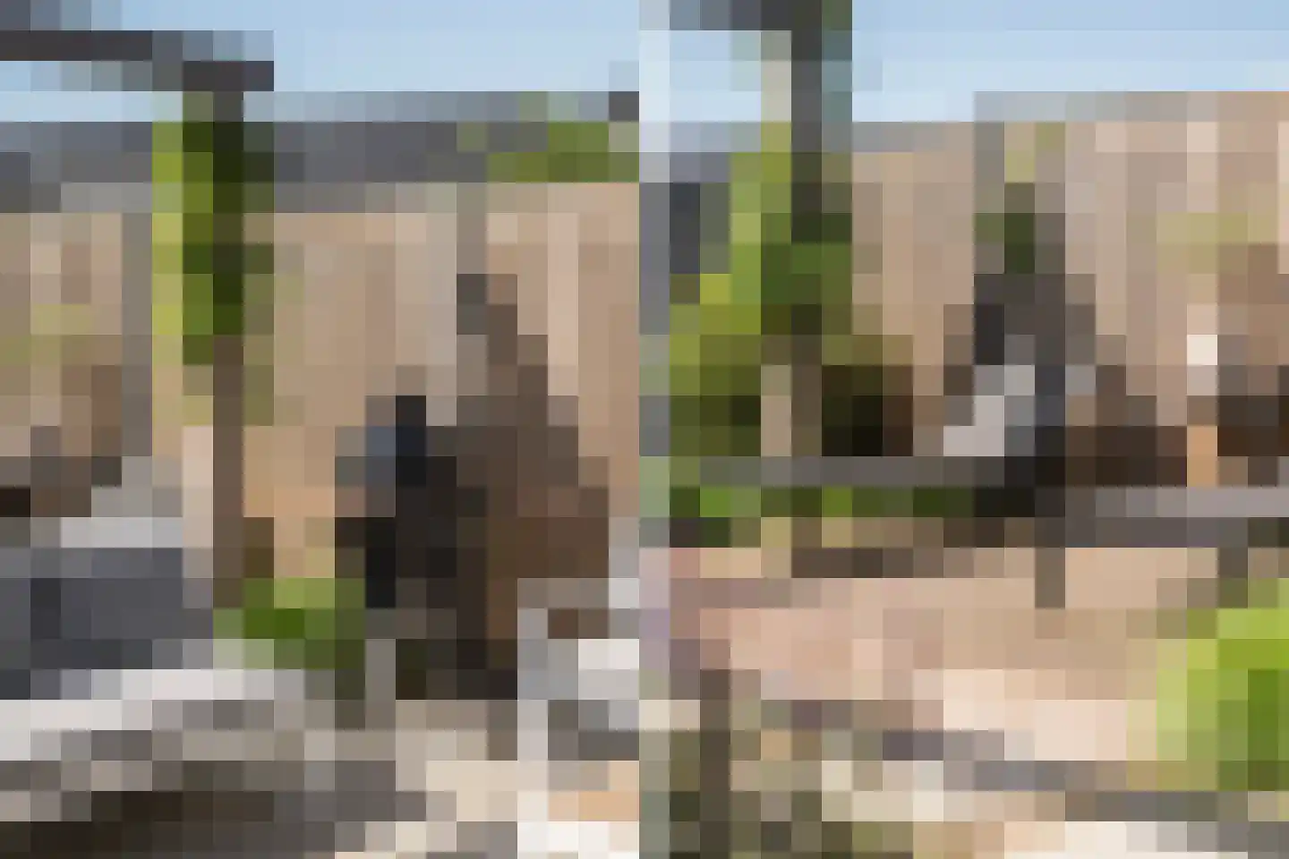 Paltrokmolen 27 Zwolle thumbnail 9