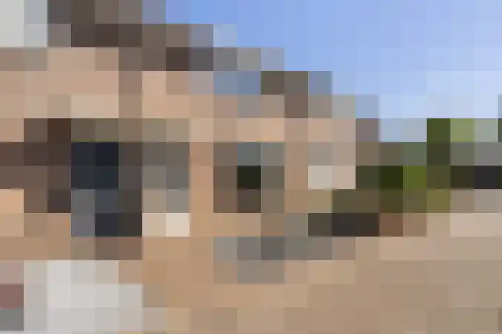 Paltrokmolen 29 in Weert