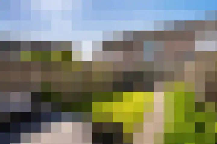 Paltrokmolen 29 Weert thumbnail 34