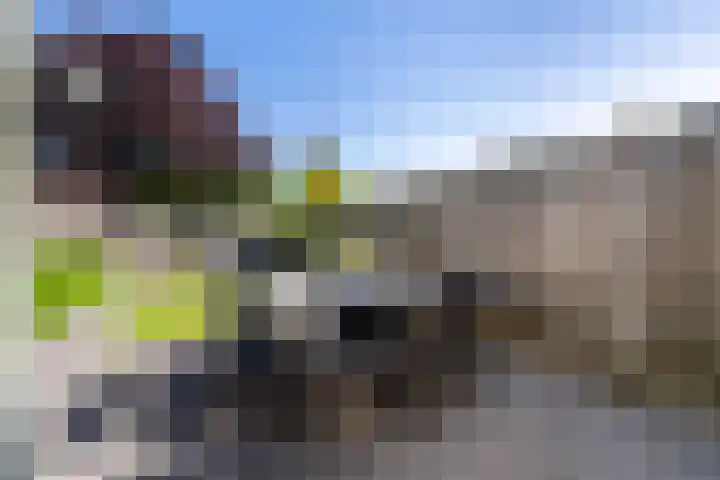 Paltrokmolen 29 Weert thumbnail 5