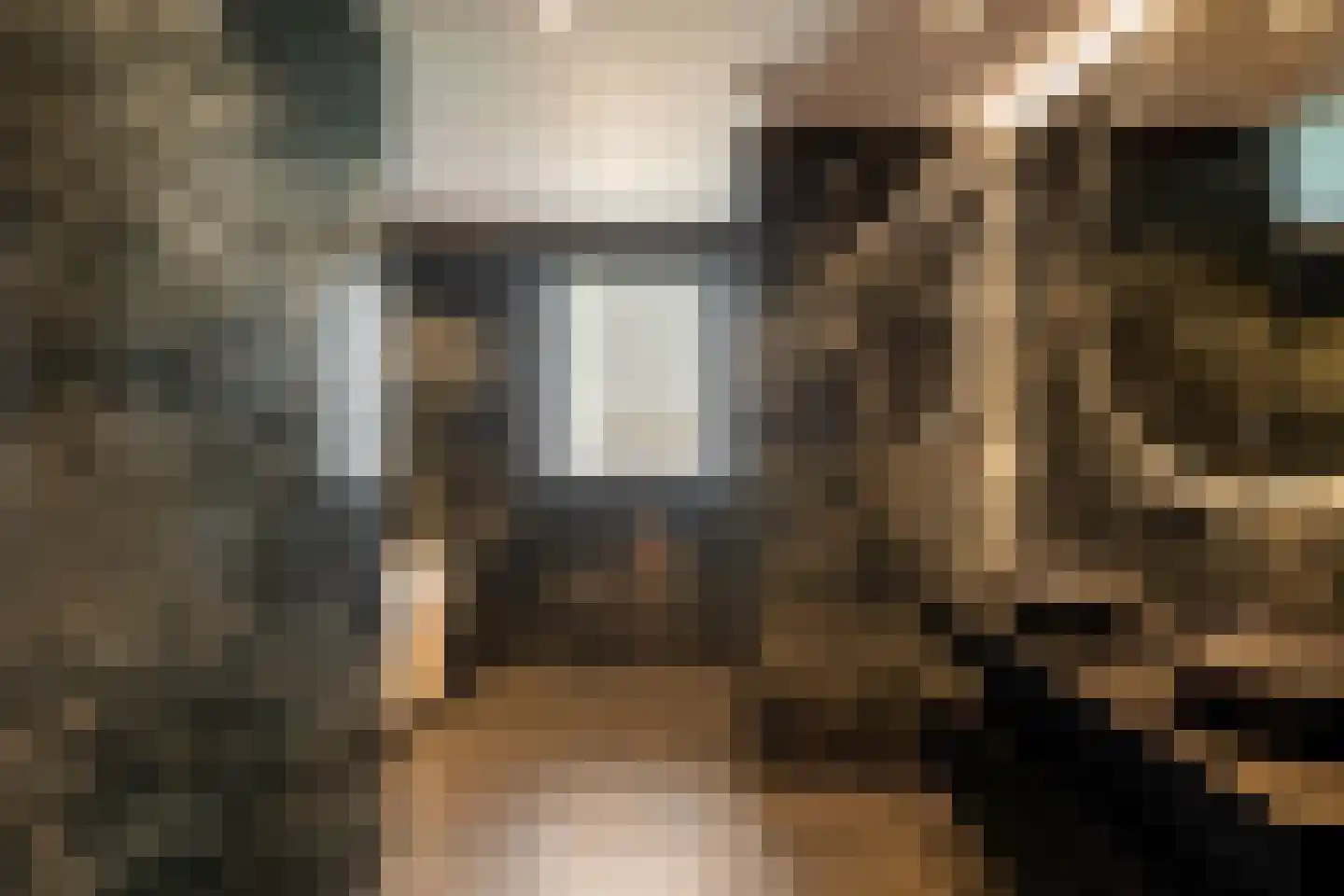 Paltrokmolen 3 A Numansdorp thumbnail 20