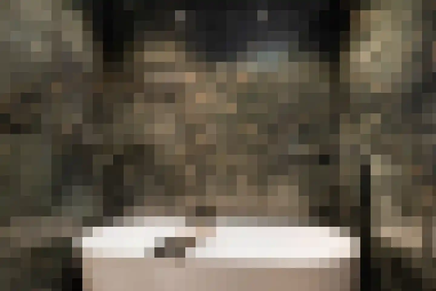 Paltrokmolen 3 A Numansdorp thumbnail 21