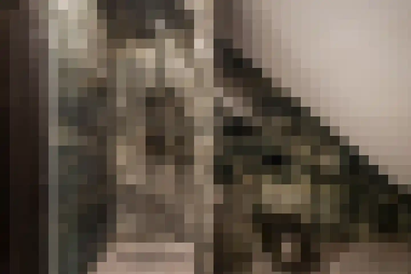 Paltrokmolen 3 A Numansdorp thumbnail 26