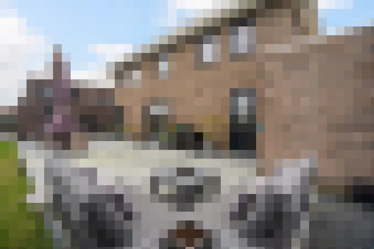 Paltrokmolen 3 A Numansdorp thumbnail 29