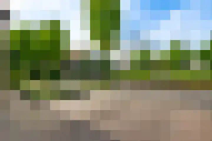 Paltrokmolen 34 Weert thumbnail 37