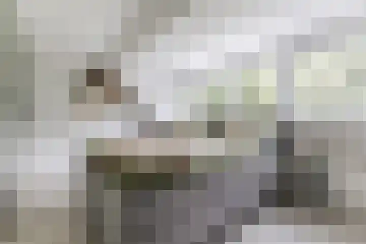 Paltrokmolen 35 Alkmaar thumbnail 15
