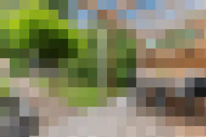 Paltrokmolen 35 Alkmaar thumbnail 28