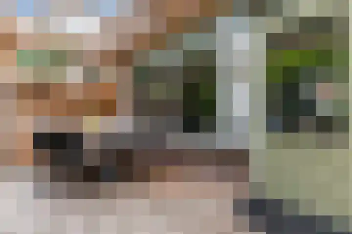 Paltrokmolen 35 Alkmaar thumbnail 29
