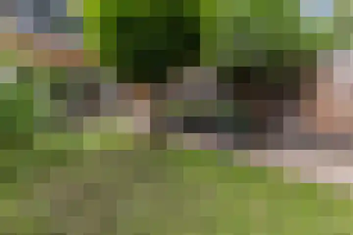 Paltrokmolen 35 Alkmaar thumbnail 30