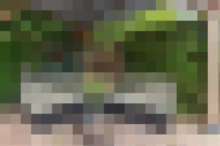 Paltrokmolen 35 Alkmaar thumbnail 31