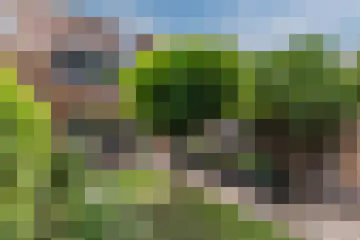Paltrokmolen 35 Alkmaar thumbnail 33
