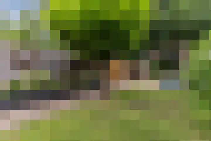 Paltrokmolen 35 Alkmaar thumbnail 4