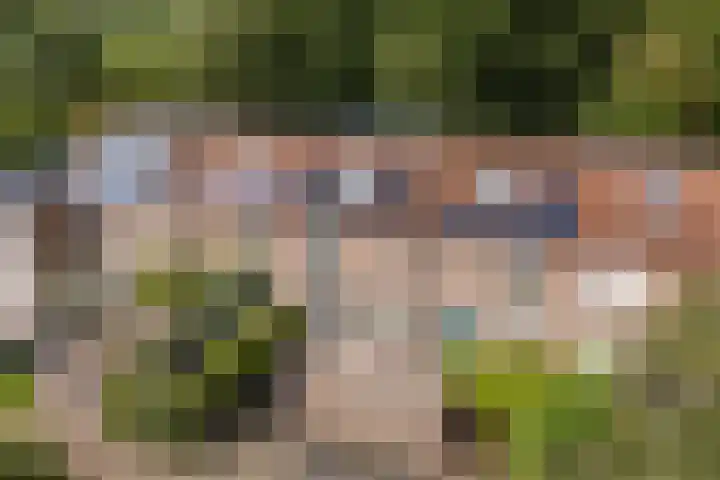 Paltrokmolen 35 Alkmaar thumbnail 43